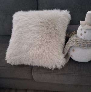 Pottery Barn Lux Faux Pillow